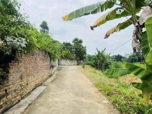 đất nền khu 3 hoàng cương, giá siêu hời 2,7 tỷ, 140m2