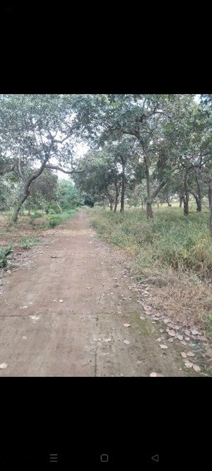 đất thổ cư 400m, tổng 3mẫu 7, duong đan ô tô,có nhà. chinh chu 