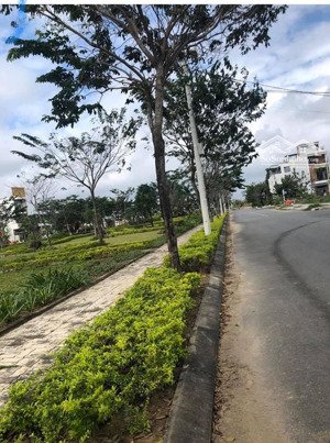 bán đất khu đầm sen nam hòa xuân...