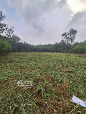 đất nông nghiệp 1247m2, oto tải tới nơi, phước kiển, chỉ 12,5 tỉ