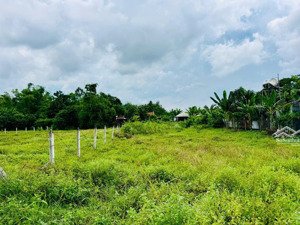 bán đất khu dân cư - mặt tiền cây trôm mỹ khánh - xã thái mỹ : 278m2 ( 5x55 ) . giá 1 tỷ 450 triệu