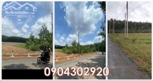 ⭐CHÍNH CHỦ cần bán nhanh lô đất ĐẸP tại xã Thuận Lợi (Đồng Phú, Bình Phước cũ), 0904302920