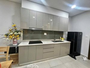 căn hộ như ảnh : 12 triệu có tl, 2pn 2wc full nt, đầy giỏ hàng 2pn 3pn