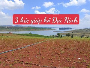 bán 29787.3m² view giáp hồ đại ninh ở xã tà hine, lâm đồng