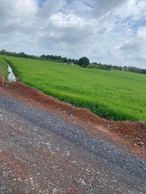 bán gấp đất nền 4500m2 tại đường kênh 10, xã tân nhựt, bình chánh, 13 tỷ vnd