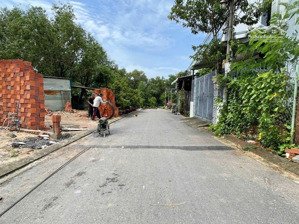 đất đẹp đường 197 hoàng hữu nam tân phú, q9