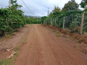 bán đất 28000m2 ở tân phú, ninh gia, đức trọng, lâm đồng