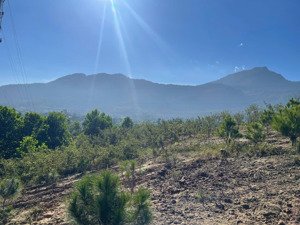 bán đất 9000m2 tại xã vân hòa, ba vì, hà nội chỉ với 40 tỷ vnd