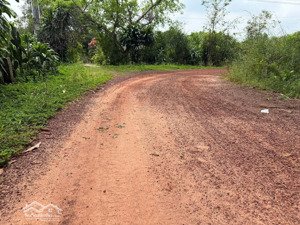 cần bán gấp lô đất ngộp 500m2 có 100m2 thổ cư 550 triệu, minh tân dầu tiếng.