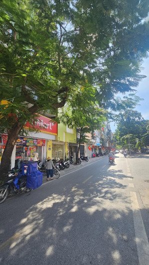 bán nhà phố trúc khê, kinh doanh phân lô vỉa hè 65m², hơn 20 tỷ ô tô tránh 5 tầng, mt 5,5m cực đẹp