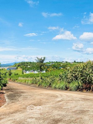 bán đất tại xã nam hà, 499 triệu, 235 m2, uy tín hàng hiếm