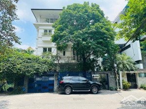 biệt thự vườn đào - siêu phẩm đường đôi - giá mềm nhất khu vực - 230m2 - 4 tầng - giá chỉ 125 tỷ