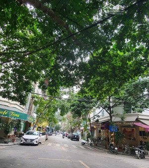 bán gấp nhà khu phân lô đầm trấu -hai bà trưng,ô tô tránh, vỉa hè, quy hoạch ổn định,43m2,hơn 16 tỷ