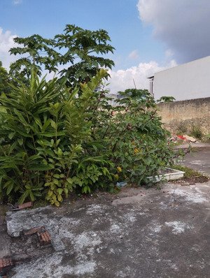 bán 2 lô cực phẩm 51,6m2 ngay trục dụ nghĩa, lê thiện, an dương cũ lh 