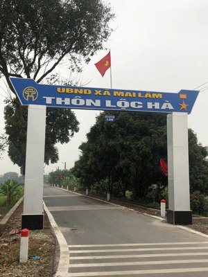 bán đất tại xã mai lâm, đông anh, hà nội, 5,2 tỷ, 48,9 m2, hàng hiếm, đẹp, nhiều tiện ích