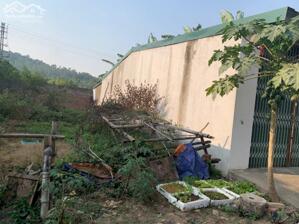 Bán đất trục chính Tam Lộng, Bình Xuyên, Vĩnh Phúc. Giá chỉ 2.35 tỷ 100m2 Full thổ cư