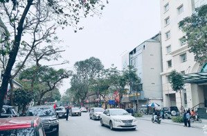 mặt tiền 14m mặt phố lý thường kiệt hoàn kiếm dt = 486m2 mt = 14m - gpxd 3 hầm 8 nổi