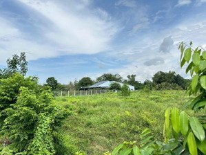 35m mặt tiền mà giá chỉ có 2 tỷ