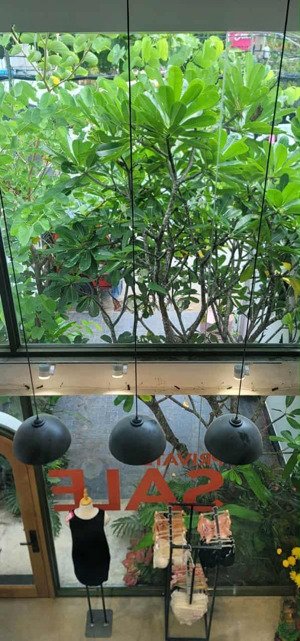 bán nhà mặt phố tại đường 18, phường hiệp bình chánh, thủ đức, giá 13 tỷ, 92m2 hdt 5 năm