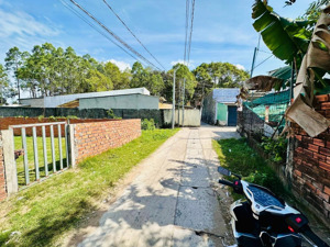 bán nhà riêng hẻm 308 trần hưng đạo, 1,35 tỷ, 121,5 m2, giá ưu đãi chỉ với