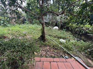 đất liên mạc - 40m2 - ô tô vào đất - vị trí đẹp bay nhanh