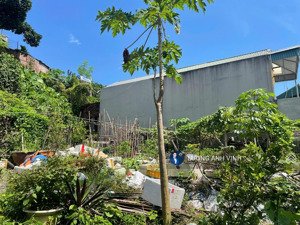 bán đất tại hà lầm, 1,3 tỷ, 97,7m2, pháp lý đầy đủ, hướng tây nam