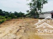 chính chủ cần bán lô đất nhà vườn 3600m2 thôn nhân lý, xã xuân sơn