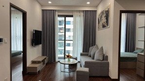 cho thuê căn hộ symphony vinhomes, 65m2, 2pn full đồ nội thất