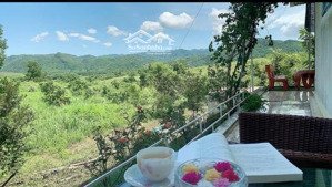 cần chuyển nhượng toàn bộ khu farm sinh thái diện tích 3,5 ha