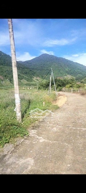 chỉ 2 cây vàng được ngay lô khánh trung, khánh vĩnh giá đầu tư 1000m2 (600m2 quy hoạch thổ)