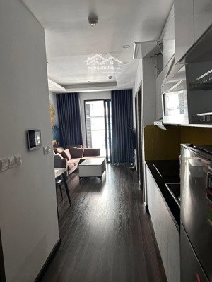 cho thuê căn hộ 2 ngủ full đồ , hoàng huy commerce giá thuê chỉ: 9 triệu/th