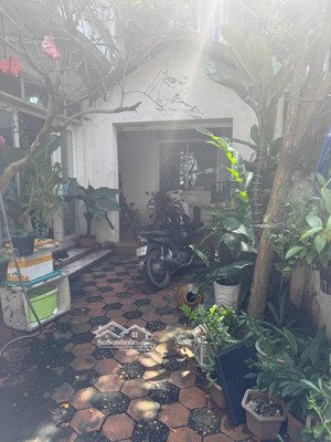 bán nhà riêng tây hồ - biệt thự sân vườn 99m2 - 4 tầng - mặt tiền 8m - giá 17.x tỷ