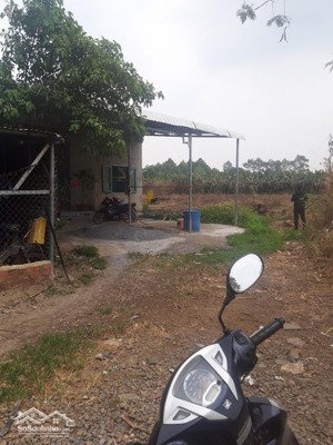 bán đất sào trảng bom (chính chủ bán). diện tích: 1853 mét vuông. sổ hồng riêng. giá: 1,5 tỷ