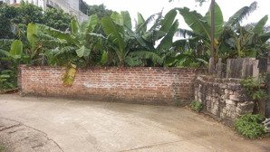 siêu phẩm đất đẹp phú cát full thổ cư, giá 2x triệu/m( x bé tẹo ) cơ hội sinh lời lớn!