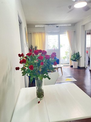 chính chủ cho thuê căn hộ 3pn 3 máy lạnh, quạt trần, máy giặt, máy sấy full nội thất, sạch đẹp