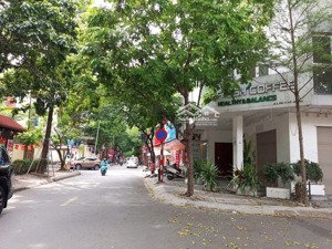 tôi bán nhà 5 tầng ngõ 10 nguyễn thị định - phân lô ô tô tránh - kinh doanh văn phòng, 45m2xmt 4.3m