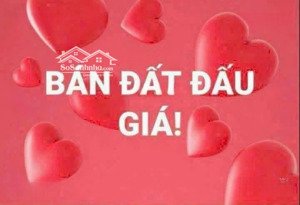 bán đất đấu giá dư dụ thanh thùy thanh oai hn