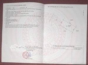 bán 2 lô đất dịch vụ tây đô vị trí cực đẹp,gần đường 32 & kđt sunshine 50m2 và 55,4m2;0979898648