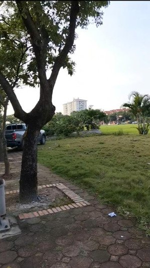 bán biệt thự 166,6m khu bt8 view triệu đô khu đô thị việt hưng, p việt hưng, hà nội