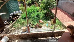 đất đẹp bắc từ liêm toạ lạc ngay bảo tàng đại tướng nguyễn chí thanh, sổ nở hậu, pháp lý sạch -