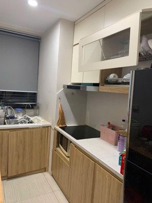 bán chung cư mon city hàm nghi mỹ đình 59m 2n1w full đồ,ban công đông nam mát mẻ, sổ đỏ, nhỉnh 5 tỷ