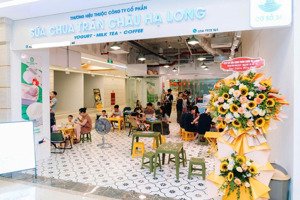 [giá tốt] cho thuê mặt phố nguyễn phong sắc, xuân thủy 93m mặt tiền 6m vỉa hè rộng 40tr