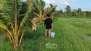 bán nhà đất chính chủ không qua trung gian