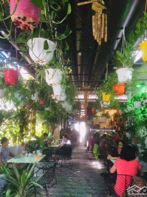 tòa nhà 3 tầng, đường phương sài. chủ hạ giá 1 tỷ - giá còn 24 tỷ. dt: 233,1m2 sau quy hoạch