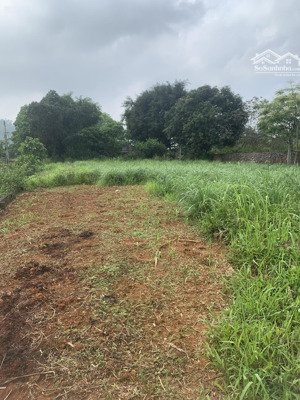 đất bùi trám hòa sơn, 1018m2 mặt tiền 42m, giá 4.2 tỷ