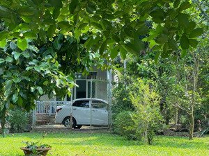 kẹt tiền kinh doanh cần bán gấp lô đất vườn có sẵn nhà - sẵn vườn - ngay ngã tư dầu giây