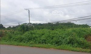 bán đất thổ cư tại xã bình giã, châu đức, bà rịa vũng tàu, 6,5 tỷ, 1415 m2