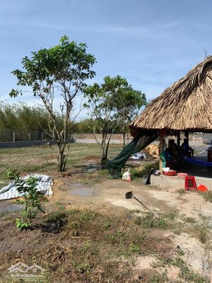 bán nhà vườn thái mỹ - khu dân cư có view kênh phước hoà đẹp: 954m2(24x37)-300m2 thổ cư.giá 2 tỷ200