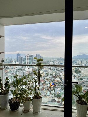 chính chủ bán căn hộ tâm huyết tầng cao view sông hàn