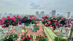 chính chủ cần bán cc pandora 53 triều khúc 80m2 - 2pn2vs tầng trung, view đẹp lh: 083.555.****